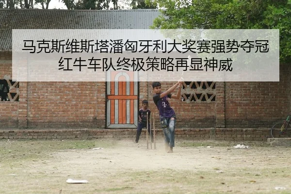 ma-ke-si-wei-si-ta-pan-xiong-ya-li-da-jiang-sai-qiang-shi-duo-guan-hong-niu-che-dui-zhong-ji-ce-lve-zai-xian-shen-wei-2-798.jpg